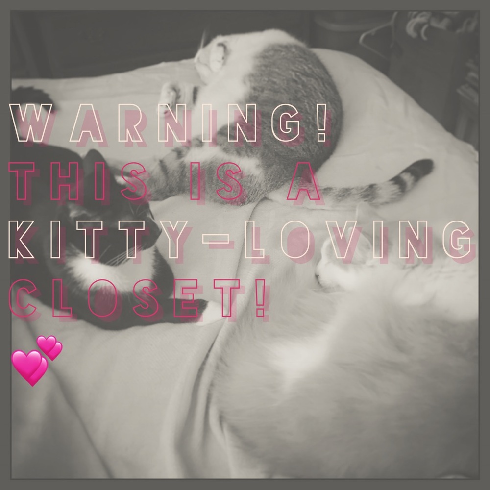 BEWARE OF CATS... 😹